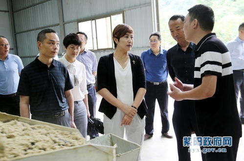 陳蓮調研工業穩增長與新社區工廠發展工作